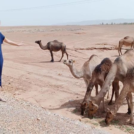 Riad De Reve زڭورة المظهر الخارجي الصورة