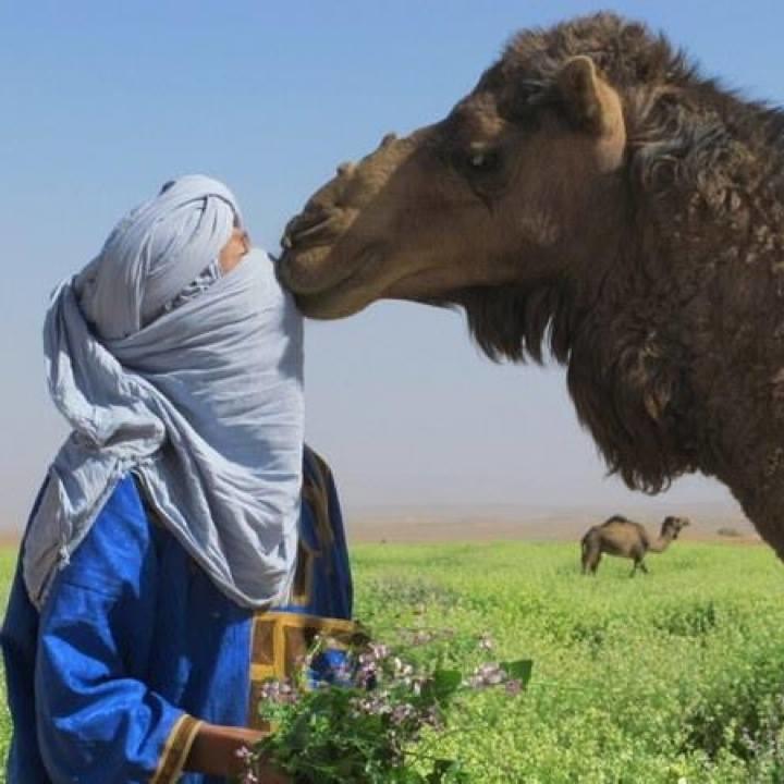 Riad De Reve زڭورة المظهر الخارجي الصورة
