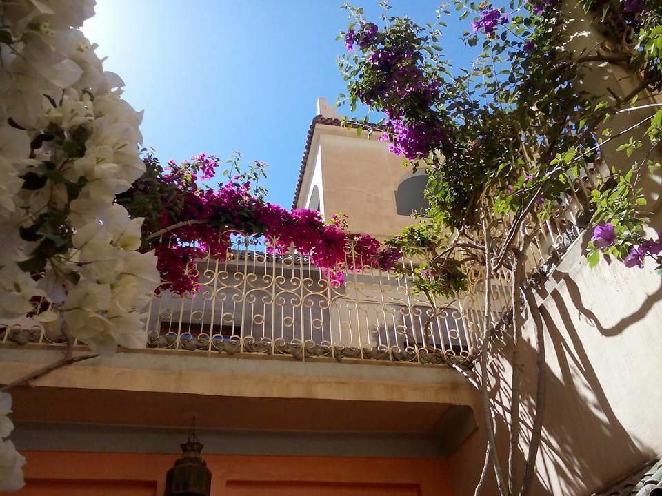 Riad De Reve زڭورة المظهر الخارجي الصورة