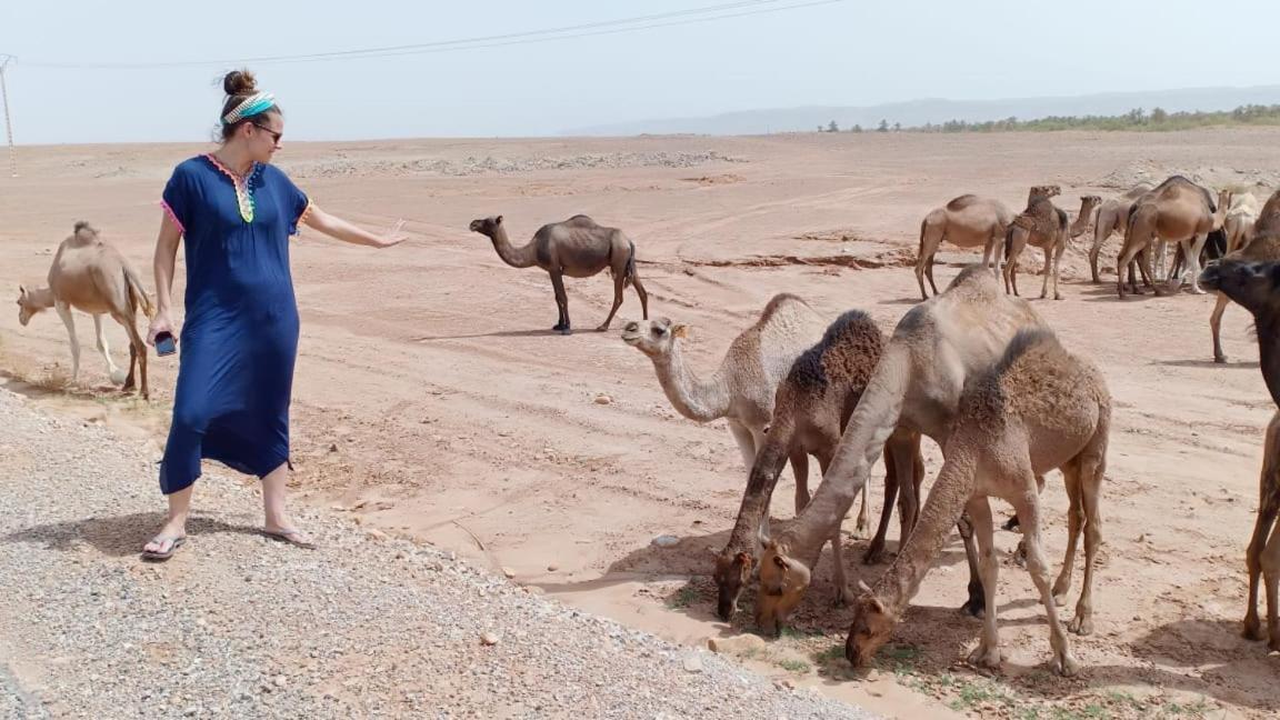 Riad De Reve زڭورة المظهر الخارجي الصورة